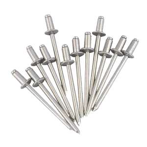 Champion Stainless Steel 304 Rivet