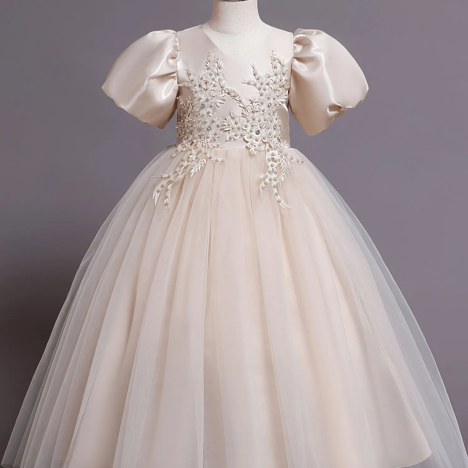 Elegant V-neck Puff Sleeve Embroidered Princess Dress