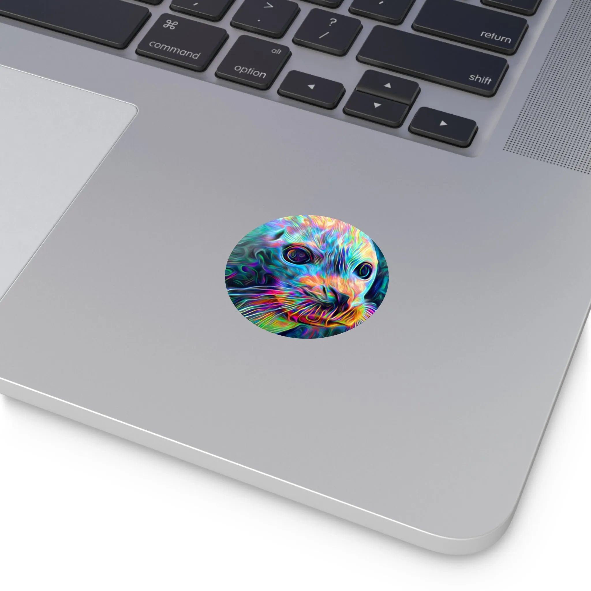 Galaxy Frog Seal Round Vinyl Stickers