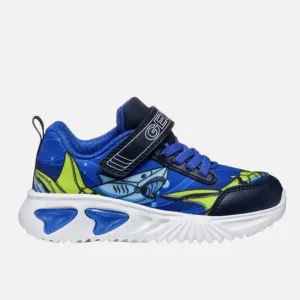 Geox - Assister - Royal/Navy Lights