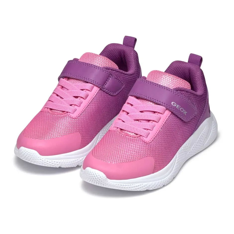 Geox - Sprintye - Purple & Dark Pink